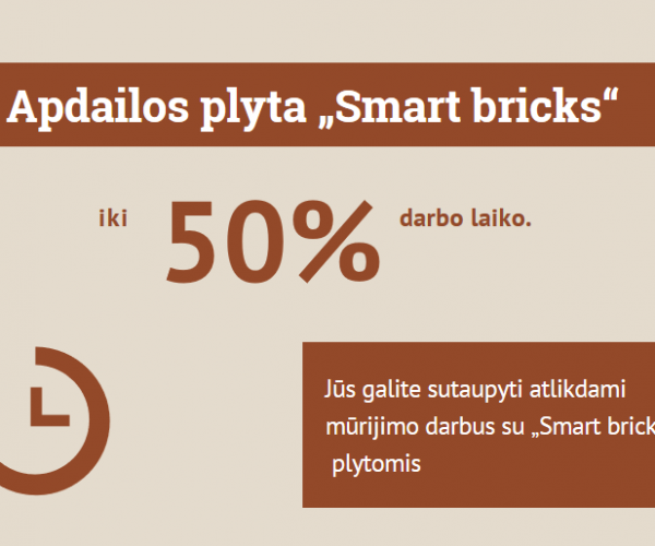Smart Bricks